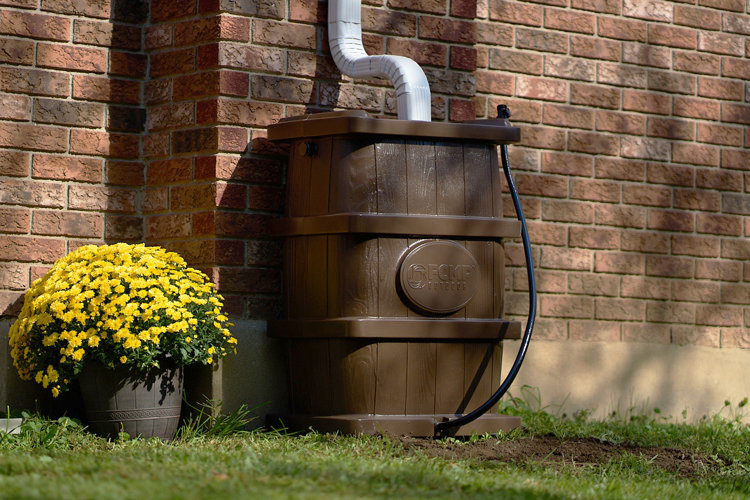 How to Collect Rainwater Using Rain Barrels Wayfair